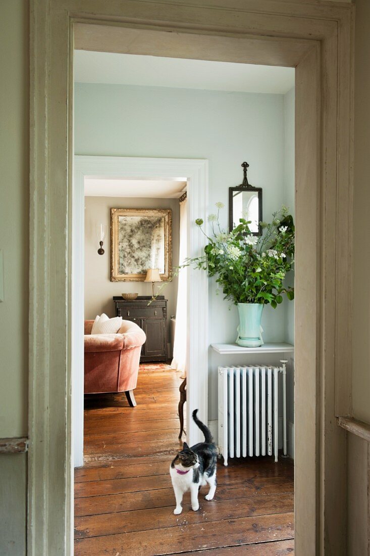 View of black and white cat in connecting room leading to country-house-style living room