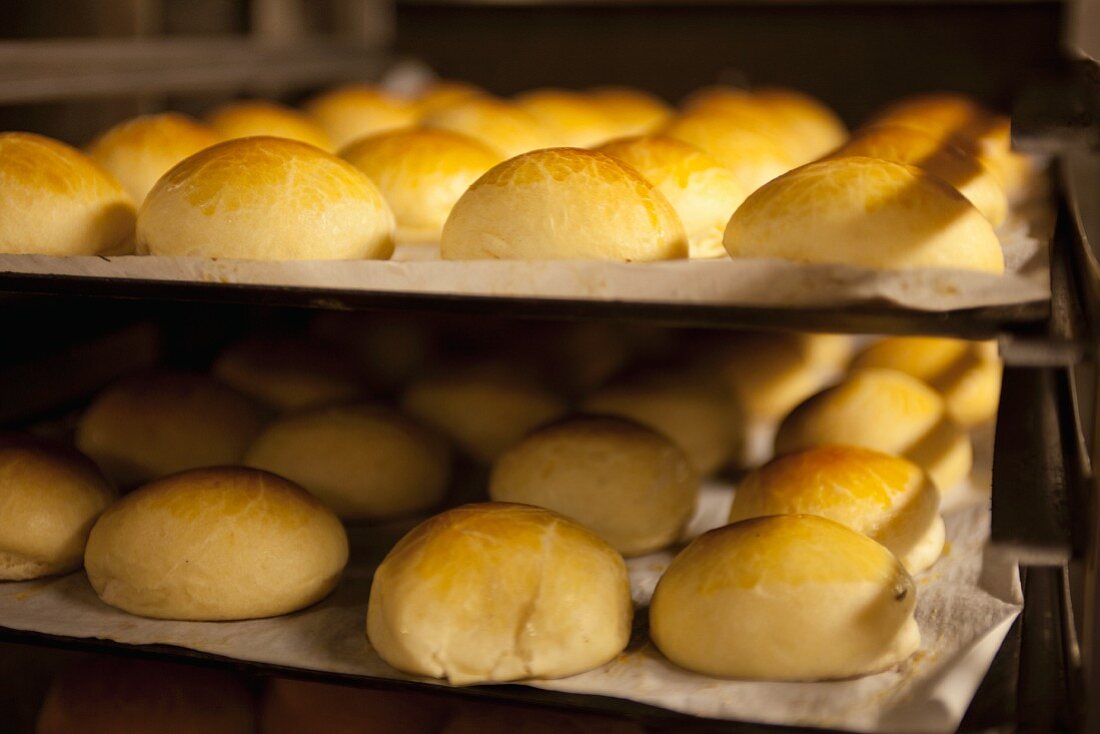Brioche rolls on a baking tray