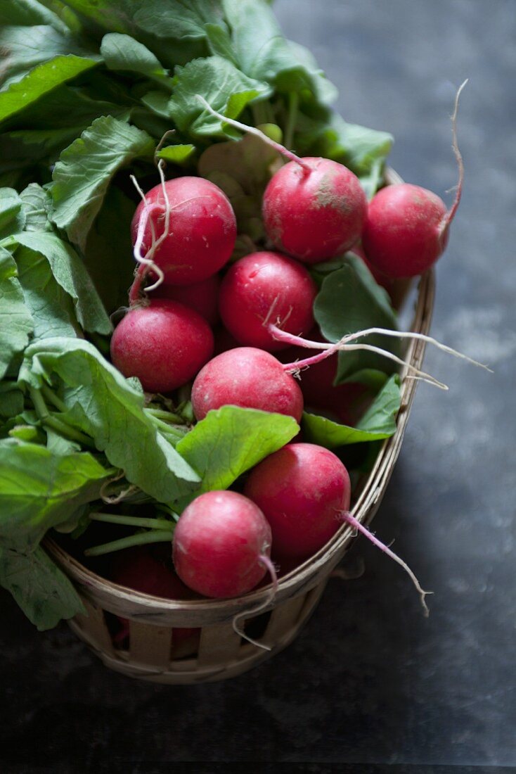 Fresh radishes in a wicker basket