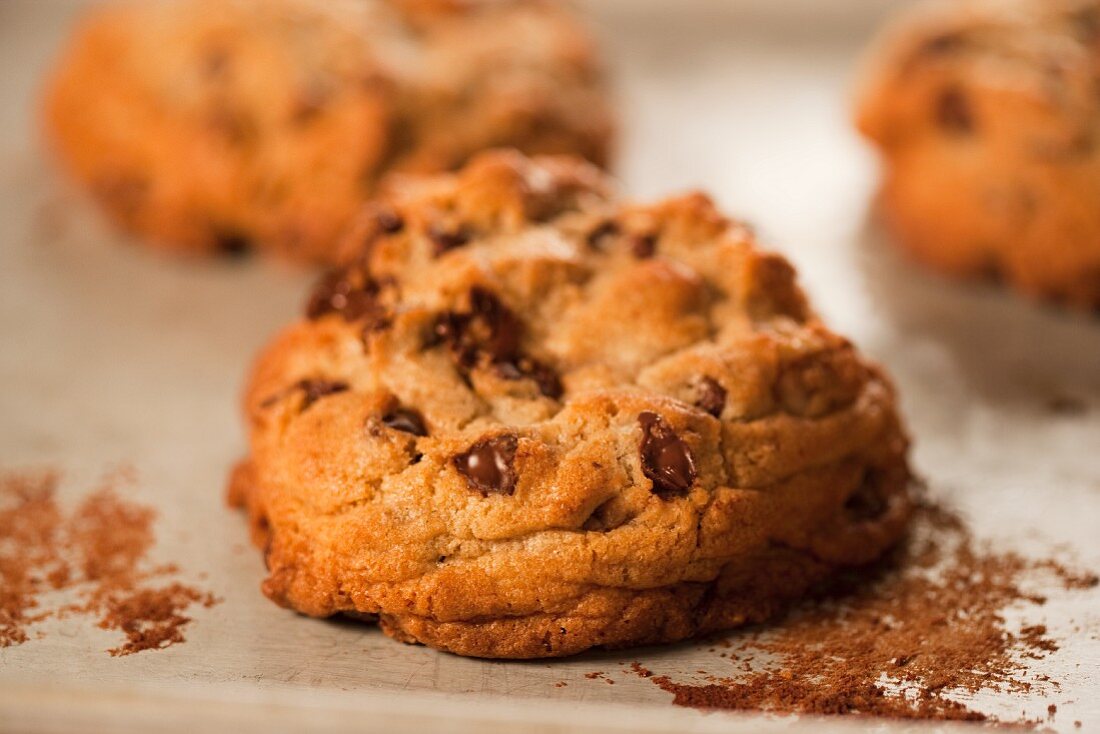 Chocolatechip Cookies auf dem Backblech