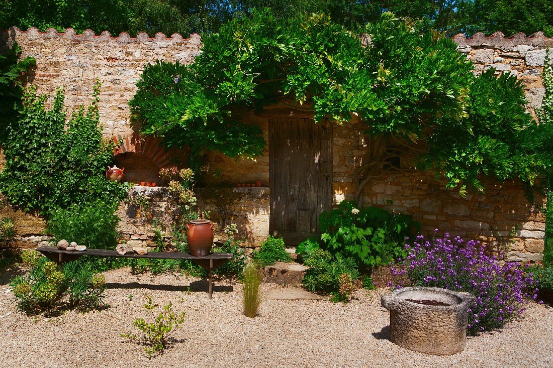 Mediterraner Garten mit schlichter Holzbank, blühenden Büschen und Spalierbaum an Natursteinmauer