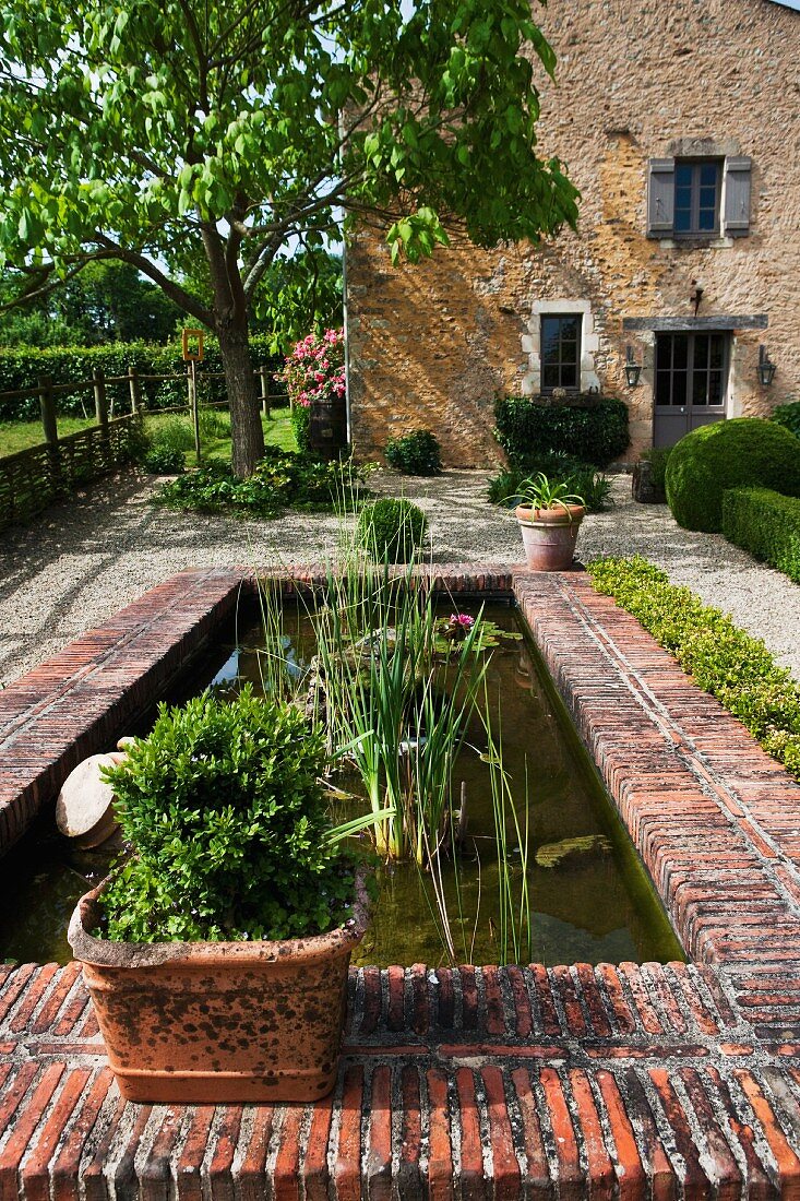 Plants in pond with terracotta brick border in garden of French country house