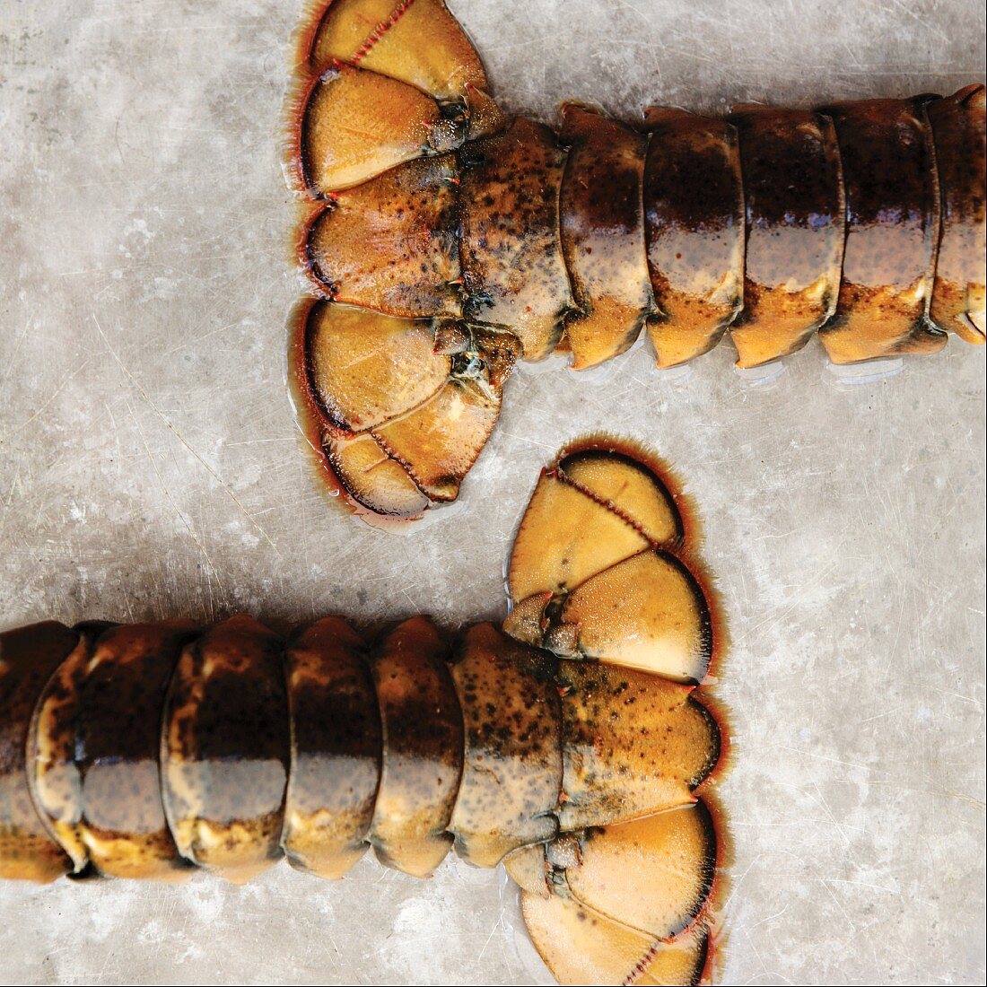 Two Lobster Tails on a Sheet Pan; From Above