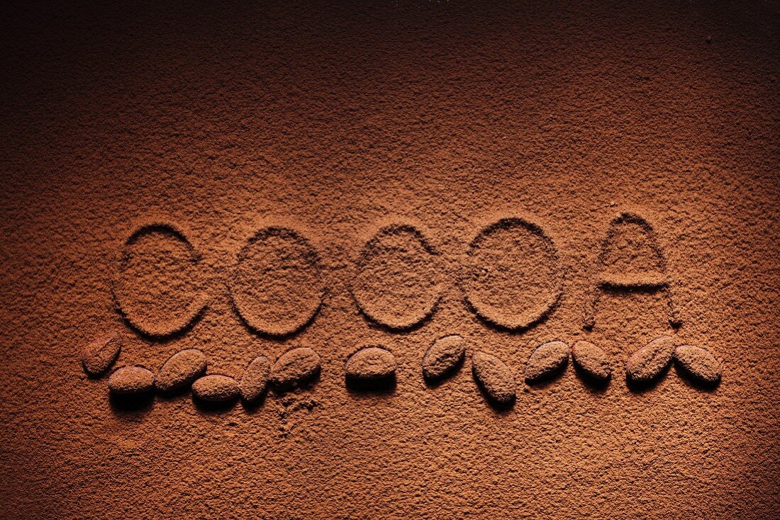 Wort Cocoa in Kakaopulver geschrieben (bildfüllend)