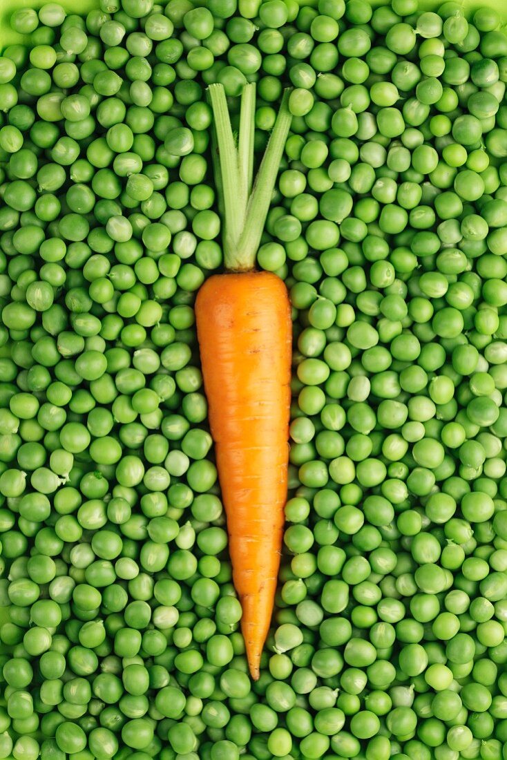 A carrot lying on a bed of peas (seen from above)