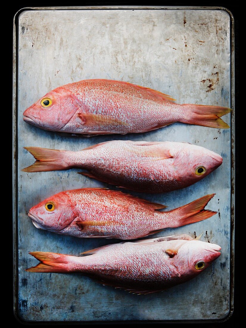 Four Whole Red Snappers on a Sheet Pan