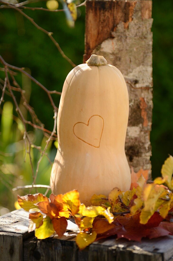 Butternut squash with a heart on a wooden box
