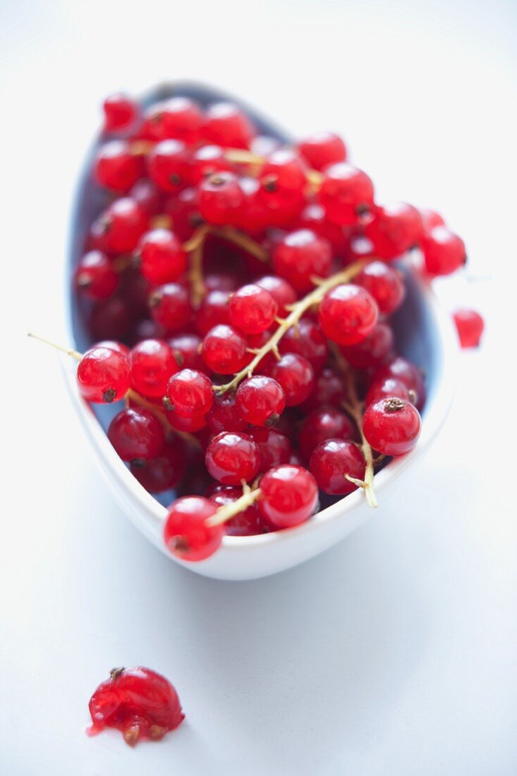 Rote Johannisbeeren im Schälchen