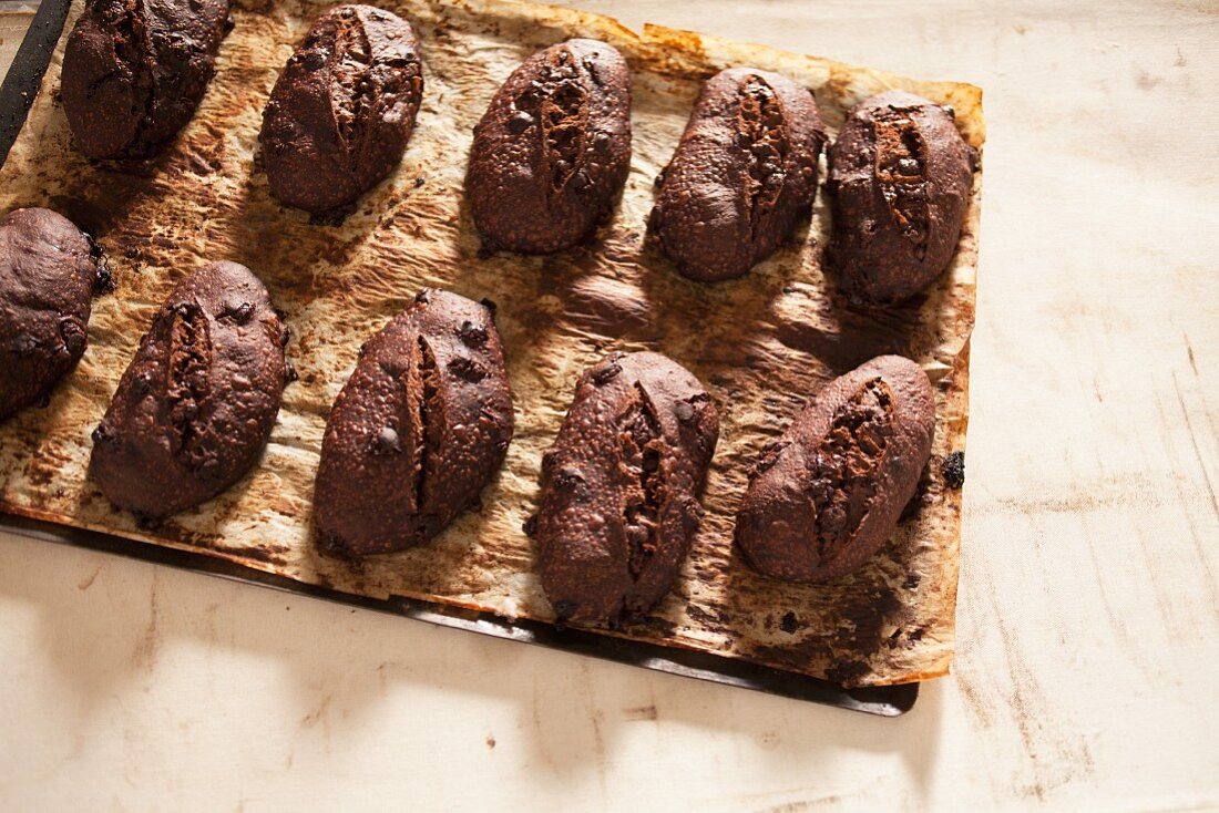 Chocolate bread on a baking tray