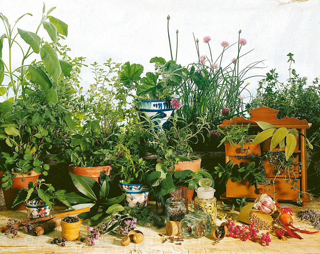 An arrangement of herbs and spice