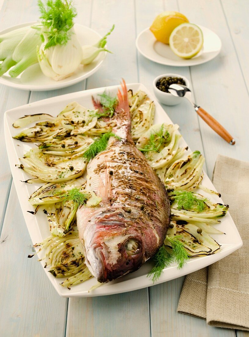 Dentex with grilled fennel