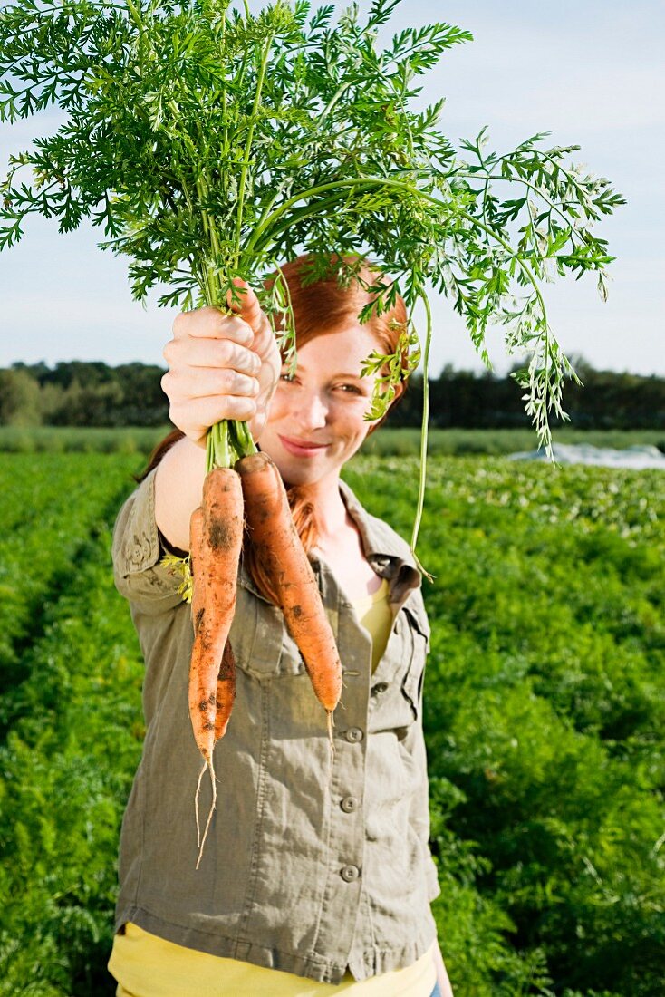 Young woman harvesting carrots in field