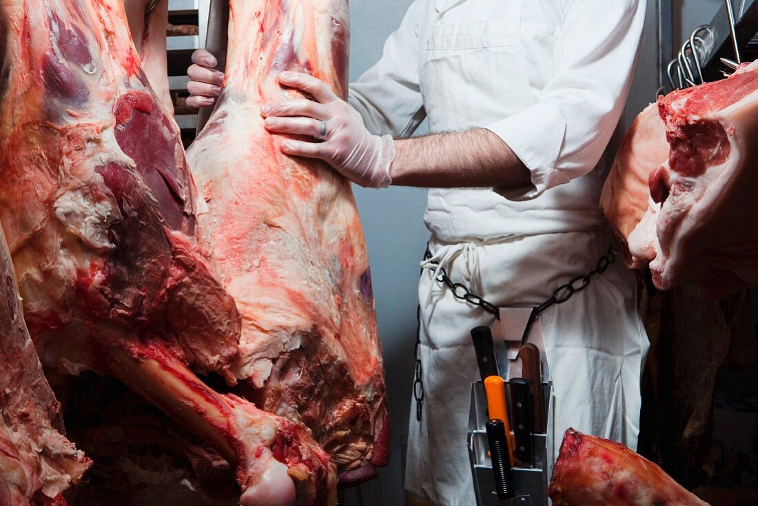 Metzger mit hängendem Rindfleisch