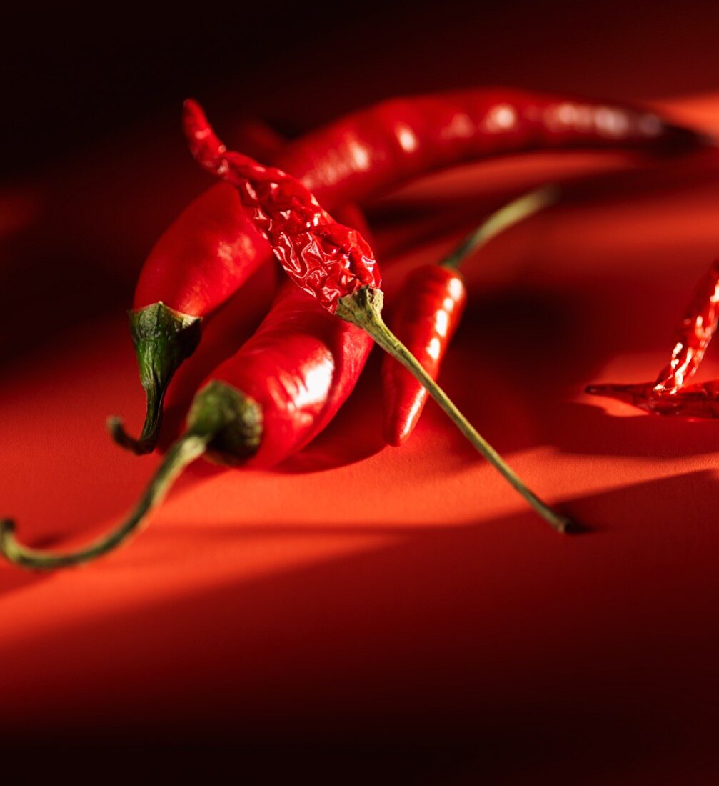 Fresh and dried red chilli peppers on a red surface