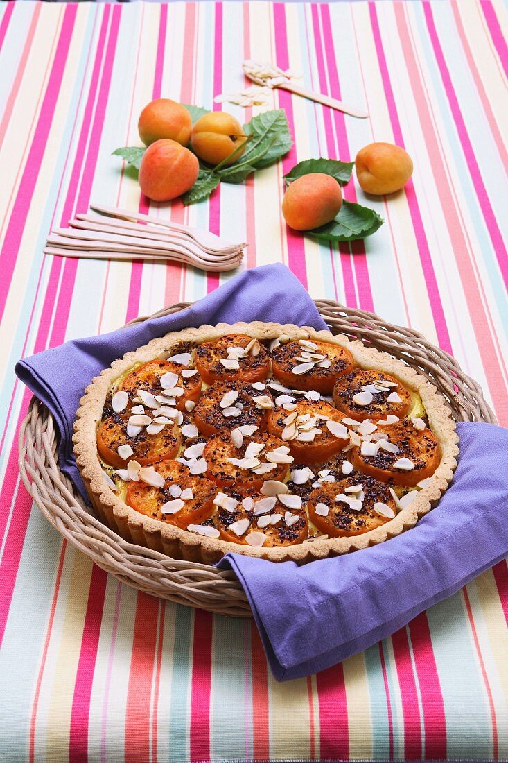 Apricot tart with slivered almonds