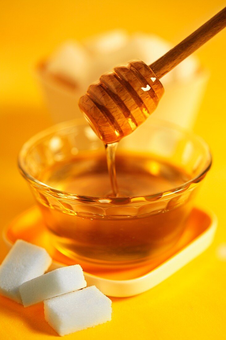 Honey on a honey spoon and sugar cubes