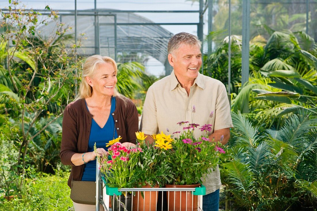 Couple shopping in garden centre