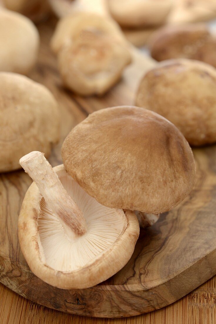 Mehrere Shiitake auf Holzbrett