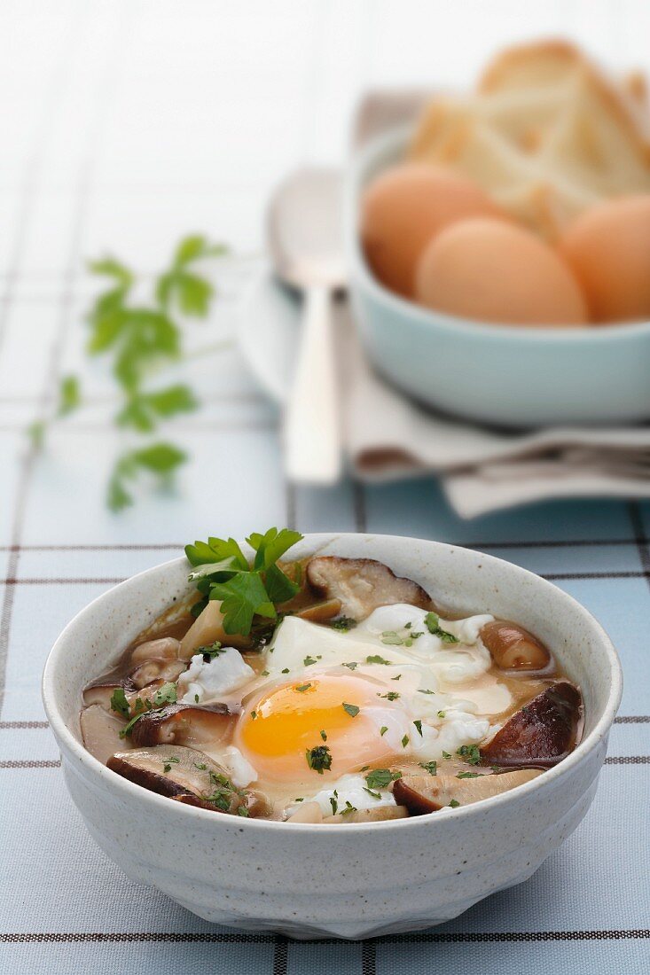 Porcini mushroom soup with a fried egg