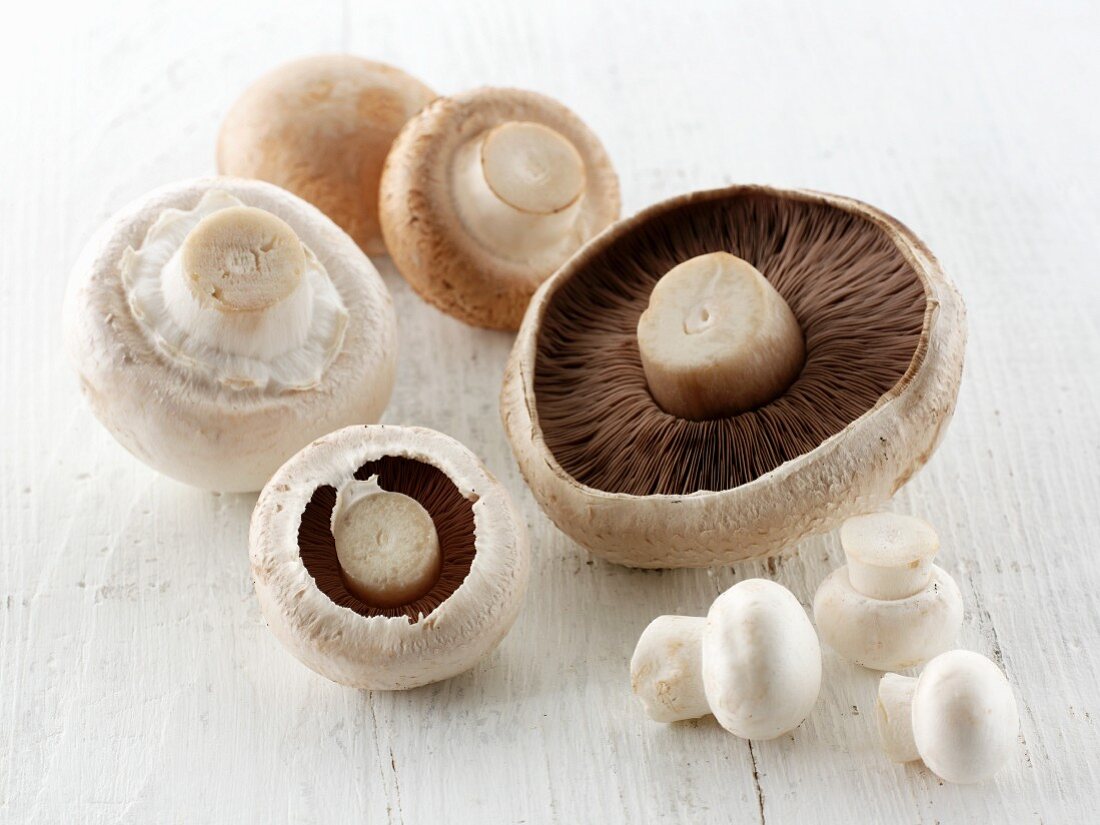 Fresh chestnut mushrooms