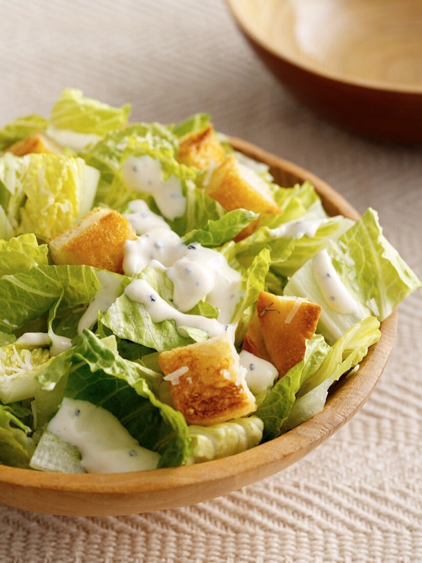 Mixed leaf salad with croutons and yoghurt dressing