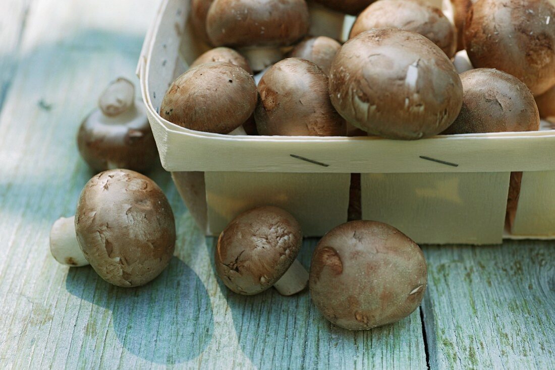 Frische braune Champignons im Spankorb