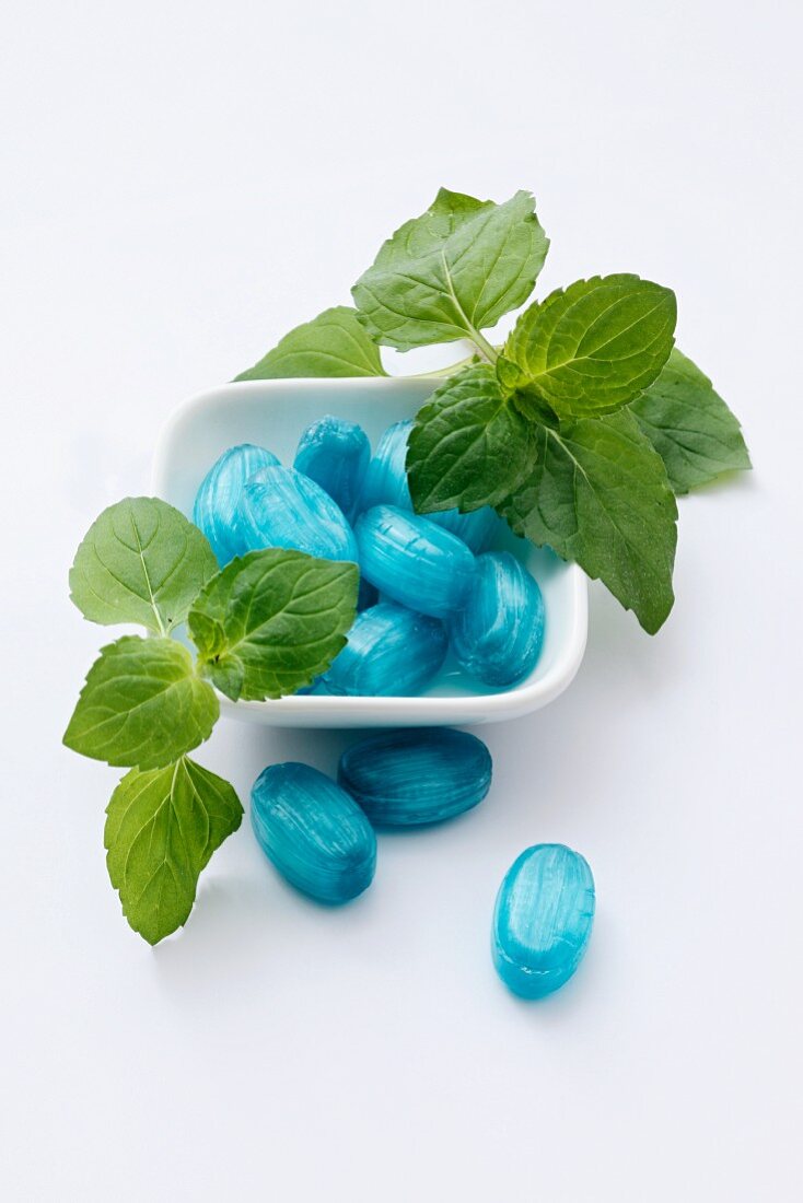 Blue mint bonbons and fresh mint