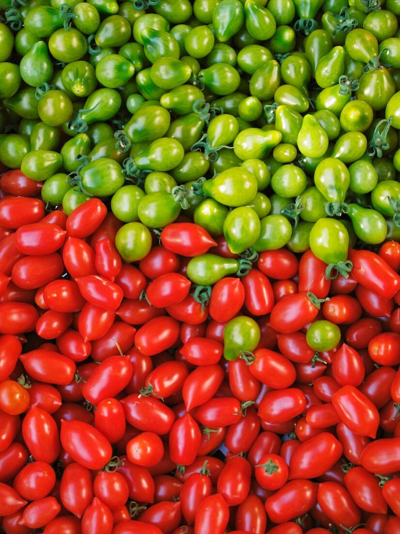 Red and green tomatoes (full frame)