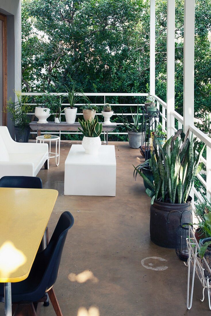Balkon mit Designermöbeln und Pflanzgefäßen