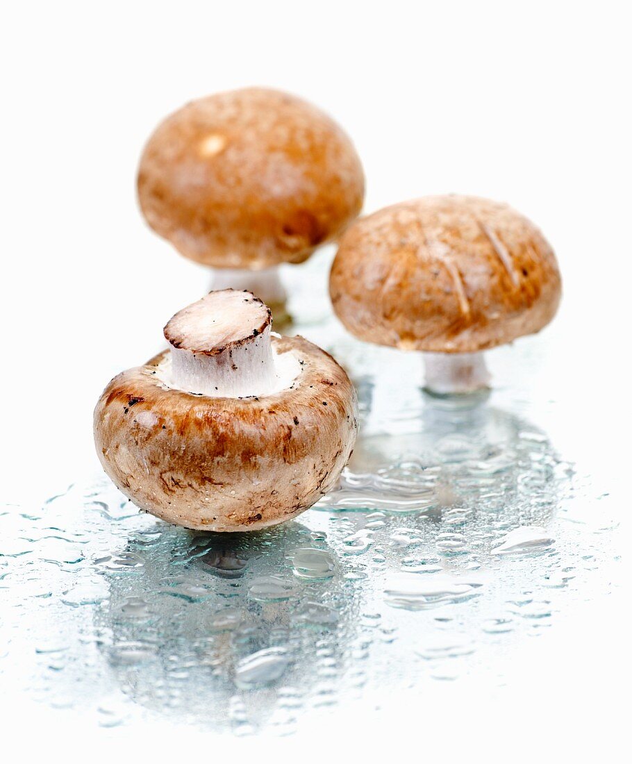 Three brown mushrooms on a wet mirror