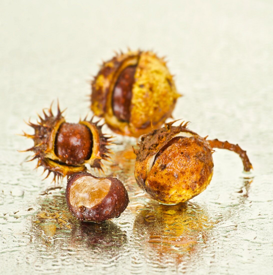 Chestnuts on a wet mirror