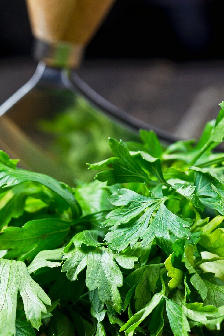 Flat-leaf parsley and a mezzaluna