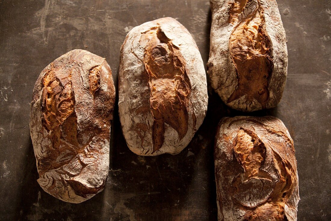 Four loaves of country bread