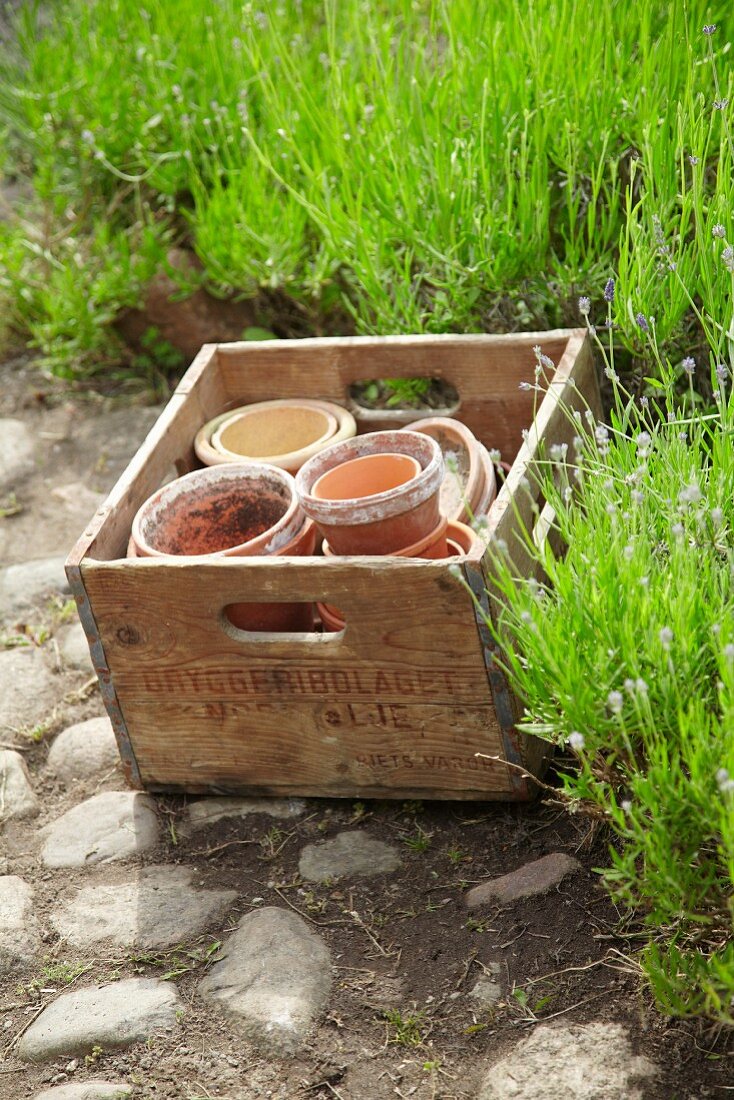 Empty flower pots in wooden crate in garden