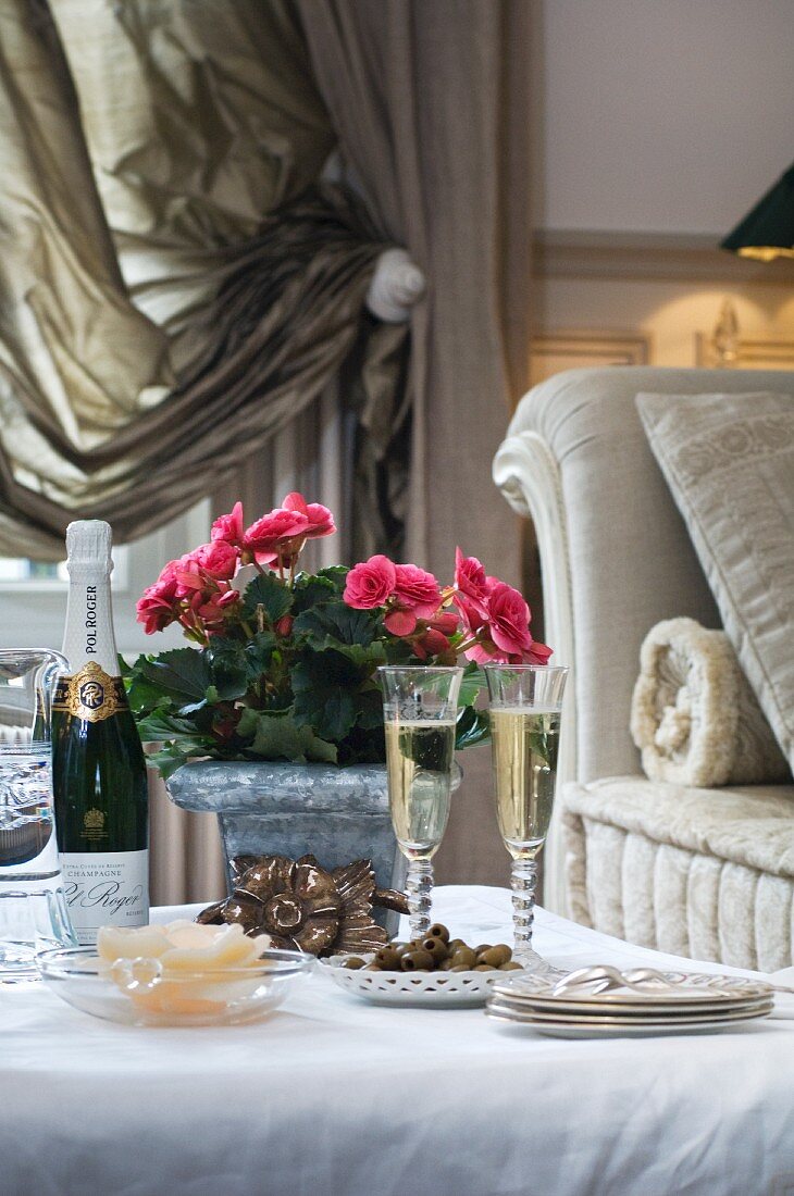 Pink flowering potted plants next to champagne bottle on set coffee table; gathered, silk curtain in background