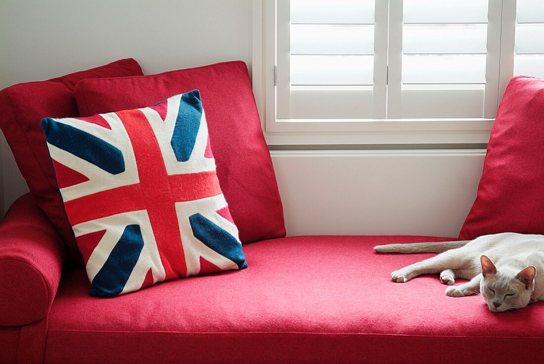 Cushions and sleeping cat on elegant, red daybed below window