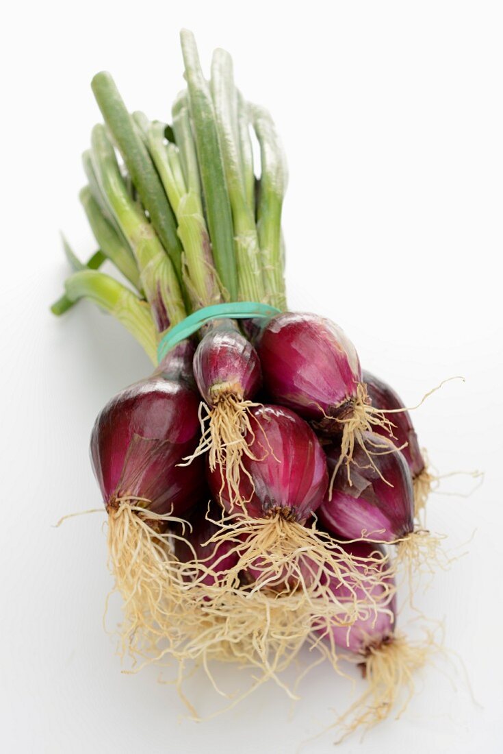 A bunch of red onions