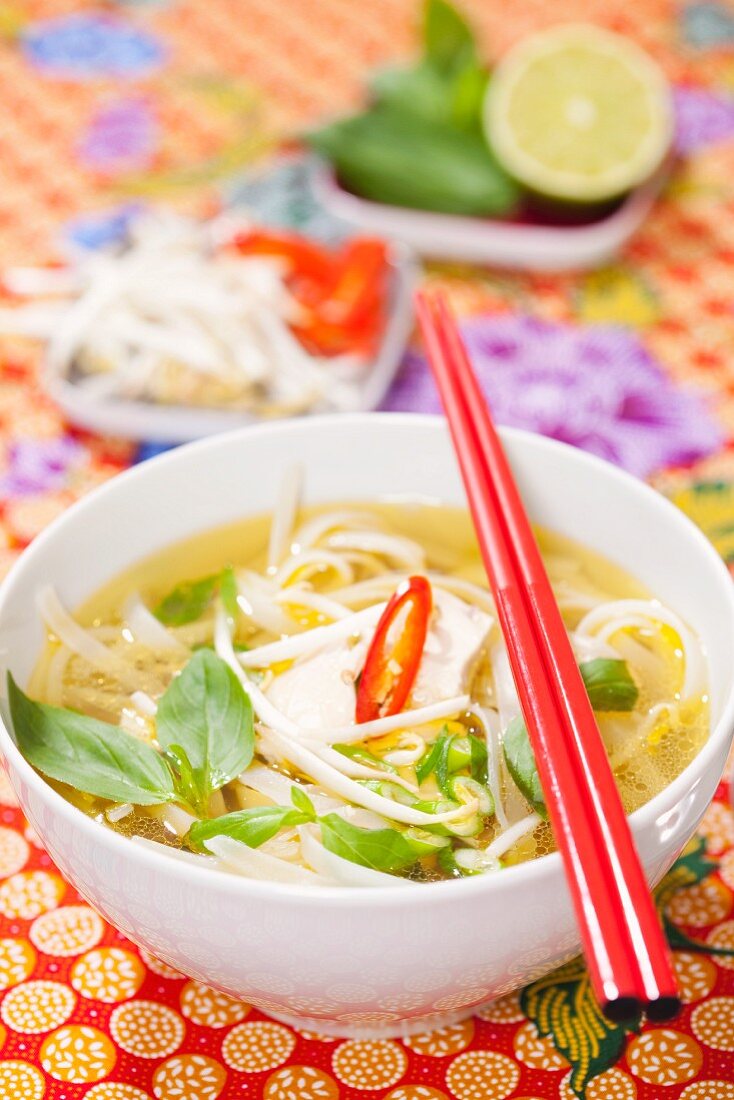 Oriental noodle soup with chicken and bean sprouts