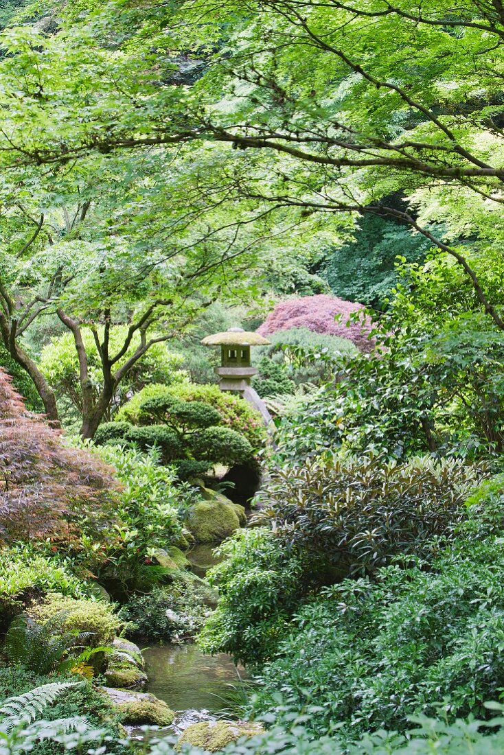 Verschwiegener Park im japanischen Stil