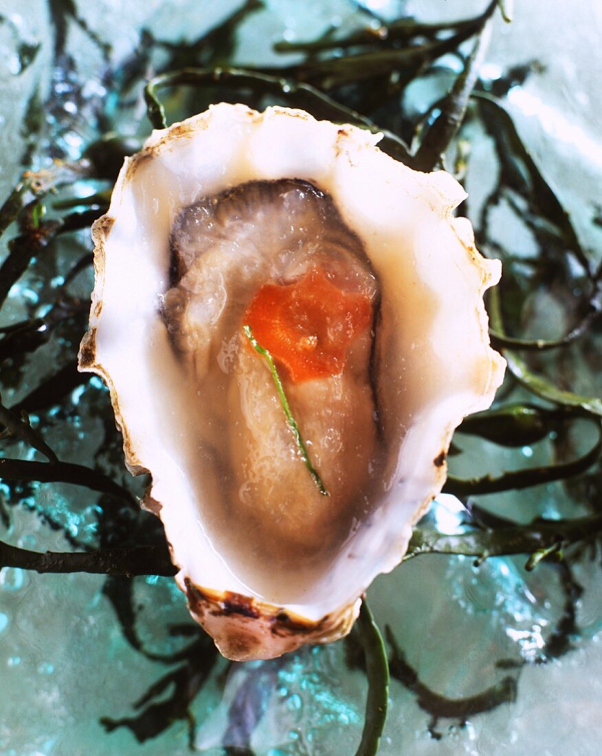 Oysters with jelly