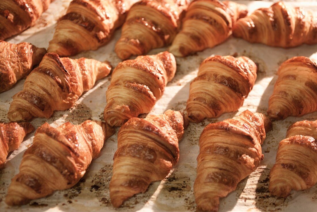 Viele Croissants auf dem Backblech