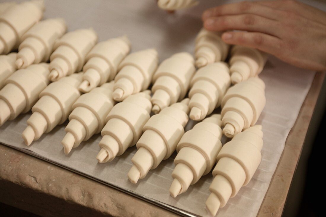 Hände legen ungebackene Croissants auf Backblech