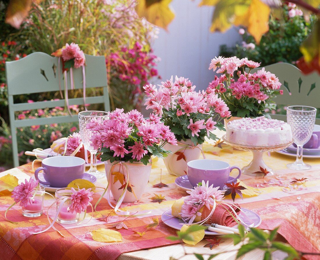 Gedeckter Kaffeetisch mit rosa Chrysanthemen