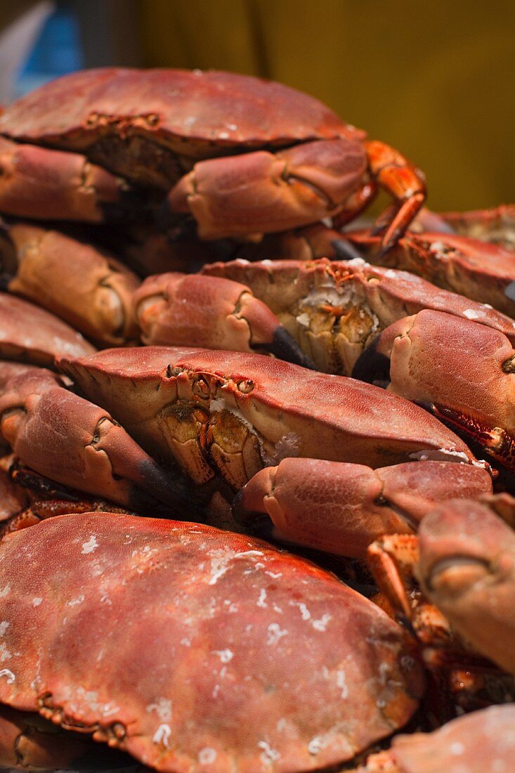 Cooked crabs on a market stand