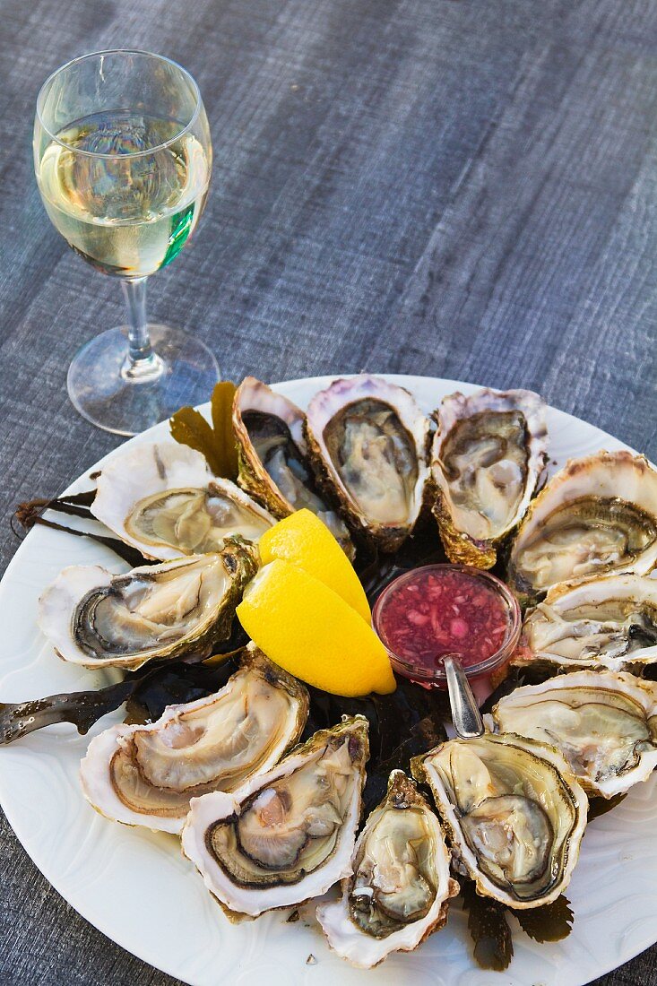 Fresh oysters and a glass of white wine