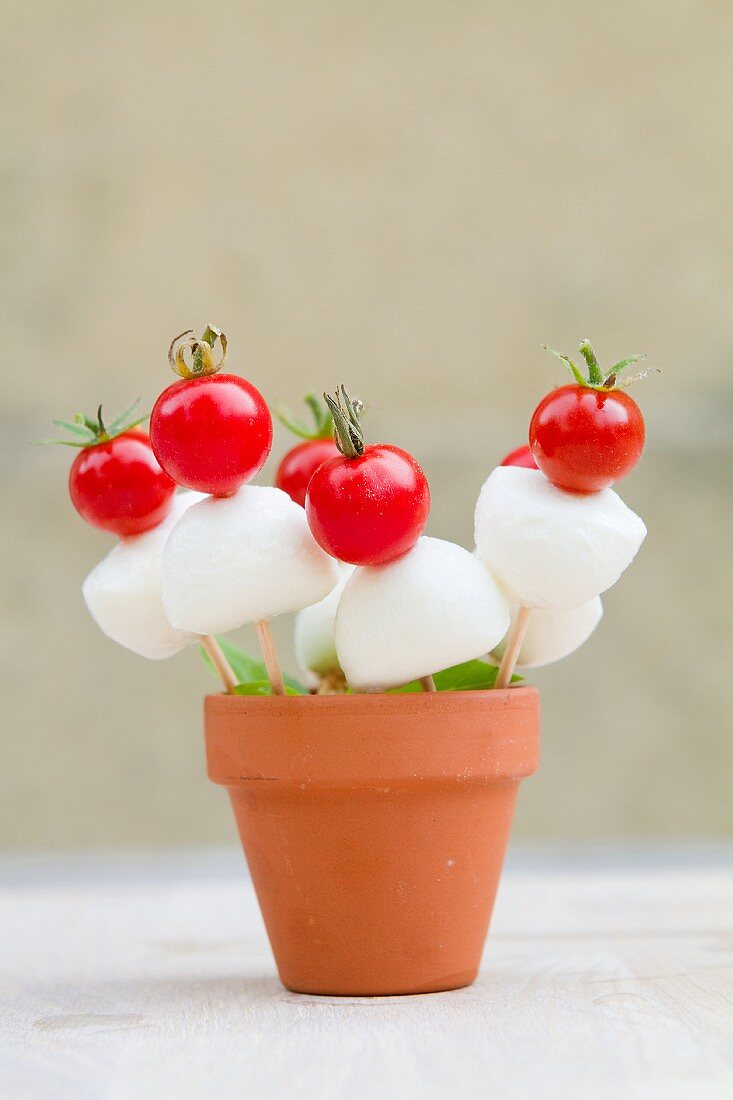 Kirschtomaten-Mozzarella-Spiesschen