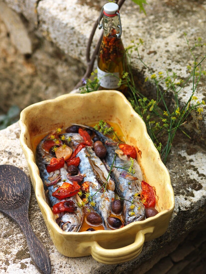 Fried mackerel with tomatoes and olives