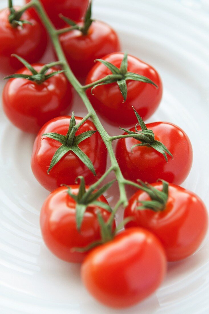 Fresh vine tomatoes