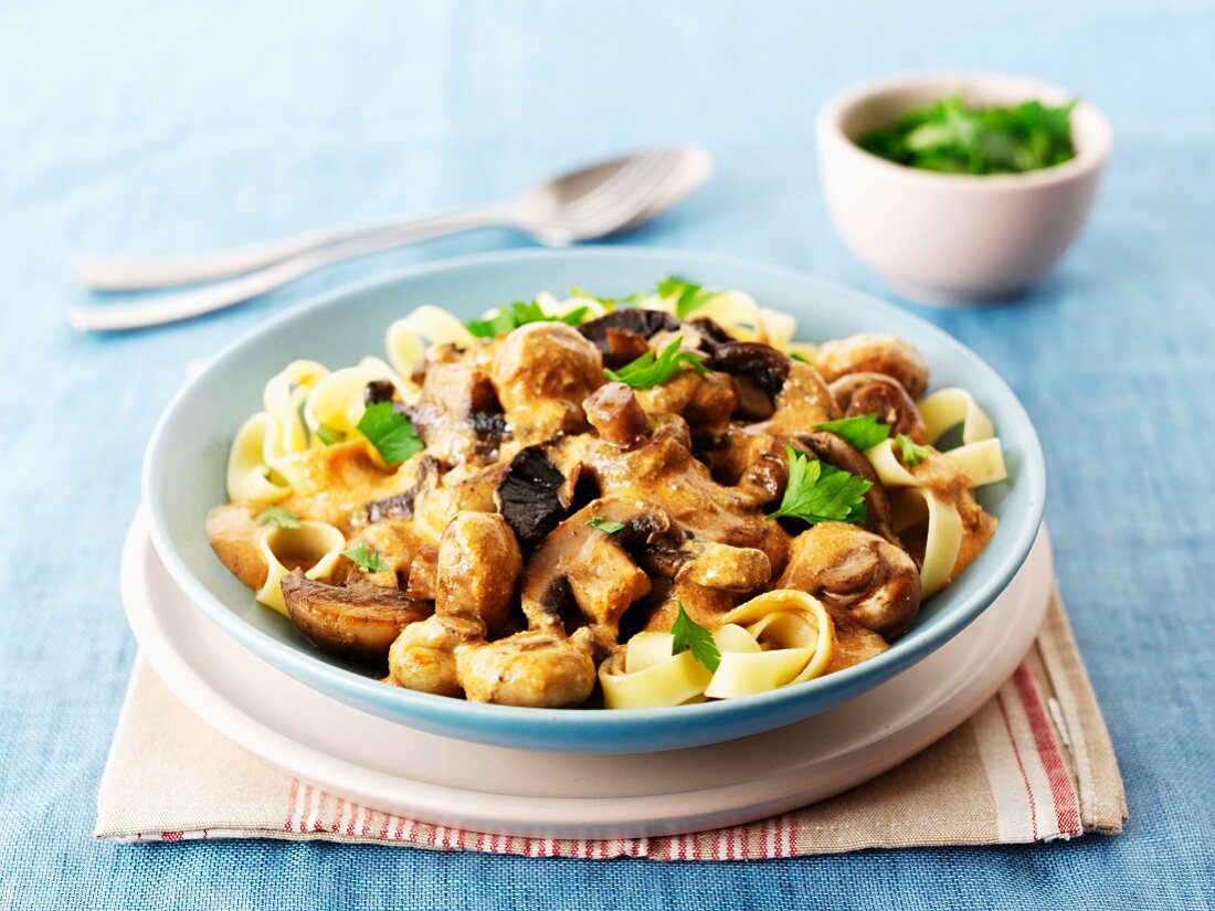 Beef Stroganoff with ribbon pasta