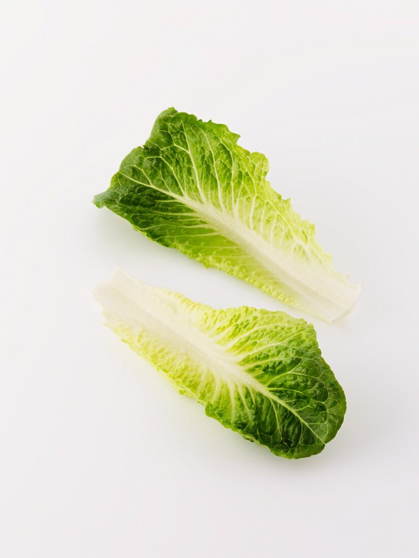 Two cos lettuce leaves